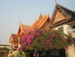 Wat Sisaket in bloom in Vientiane